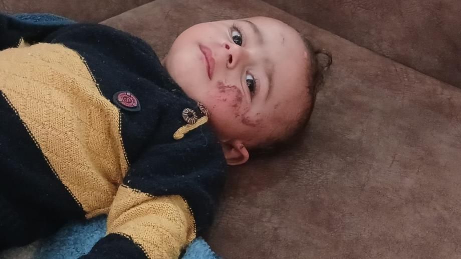 "The story of the infant Sand Bulbul"